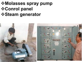 Molasses spray pump
Conrol panel
Steam generator
 