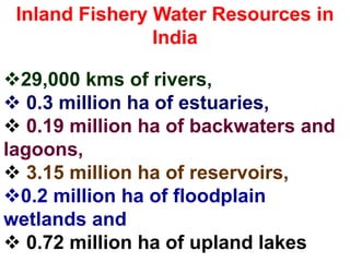 Inland Fishery Water Resources in
India
29,000 kms of rivers,
 0.3 million ha of estuaries,
 0.19 million ha of backwaters and
lagoons,
 3.15 million ha of reservoirs,
0.2 million ha of floodplain
wetlands and
 0.72 million ha of upland lakes
 