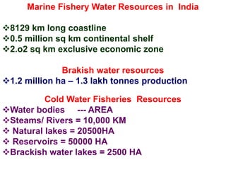 Marine Fishery Water Resources in India
8129 km long coastline
0.5 million sq km continental shelf
2.o2 sq km exclusive economic zone
Brakish water resources
1.2 million ha – 1.3 lakh tonnes production
Cold Water Fisheries Resources
Water bodies --- AREA
Steams/ Rivers = 10,000 KM
 Natural lakes = 20500HA
 Reservoirs = 50000 HA
Brackish water lakes = 2500 HA
 