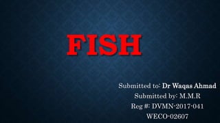 FISH
Submitted to: Dr Waqas Ahmad
Submitted by: M.M.R
Reg #: DVMN-2017-041
WECO-02607
 