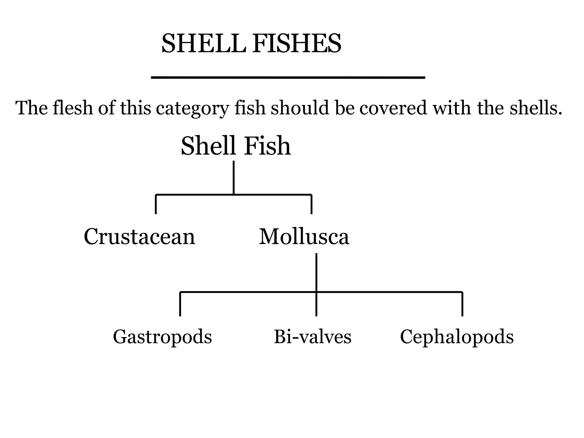 Fish-Cuts of fish | PPTX