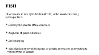 Comprehensive Overview of Fluorescence In Situ Hybridization (FISH ...