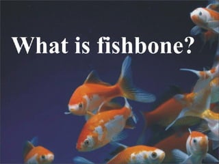 Fish Bone | PPS