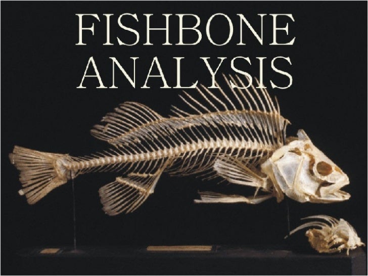 Fish Bone fish skeleton diagram 