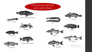 fish-capture- ALL TOPIC TLE 115 (TCCAFA)