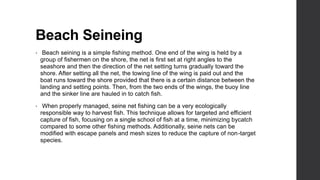 Beach Seineing
• Beach seining is a simple fishing method. One end of the wing is held by a
group of fishermen on the shore, the net is first set at right angles to the
seashore and then the direction of the net setting turns gradually toward the
shore. After setting all the net, the towing line of the wing is paid out and the
boat runs toward the shore provided that there is a certain distance between the
landing and setting points. Then, from the two ends of the wings, the buoy line
and the sinker line are hauled in to catch fish.
• When properly managed, seine net fishing can be a very ecologically
responsible way to harvest fish. This technique allows for targeted and efficient
capture of fish, focusing on a single school of fish at a time, minimizing bycatch
compared to some other fishing methods. Additionally, seine nets can be
modified with escape panels and mesh sizes to reduce the capture of non-target
species.
 