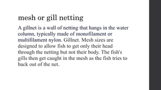 mesh or gill netting
A gillnet is a wall of netting that hangs in the water
column, typically made of monofilament or
multifilament nylon. Gillnet. Mesh sizes are
designed to allow fish to get only their head
through the netting but not their body. The fish's
gills then get caught in the mesh as the fish tries to
back out of the net.
 