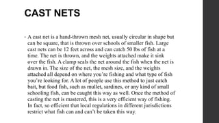 CAST NETS
• A cast net is a hand-thrown mesh net, usually circular in shape but
can be square, that is thrown over schools of smaller fish. Large
cast nets can be 12 feet across and can catch 50 lbs of fish at a
time. The net is thrown, and the weights attached make it sink
over the fish. A clamp seals the net around the fish when the net is
drawn in. The size of the net, the mesh size, and the weights
attached all depend on where you’re fishing and what type of fish
you’re looking for. A lot of people use this method to just catch
bait, but food fish, such as mullet, sardines, or any kind of small
schooling fish, can be caught this way as well. Once the method of
casting the net is mastered, this is a very efficient way of fishing.
In fact, so efficient that local regulations in different jurisdictions
restrict what fish can and can’t be taken this way.
 