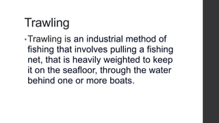 Trawling
•Trawling is an industrial method of
fishing that involves pulling a fishing
net, that is heavily weighted to keep
it on the seafloor, through the water
behind one or more boats.
 