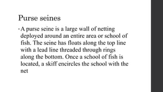 Purse seines
• A purse seine is a large wall of netting
deployed around an entire area or school of
fish. The seine has floats along the top line
with a lead line threaded through rings
along the bottom. Once a school of fish is
located, a skiff encircles the school with the
net
 
