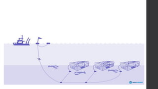 fish-capture- ALL TOPIC TLE 115 (TCCAFA)