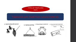 fish-capture- ALL TOPIC TLE 115 (TCCAFA)