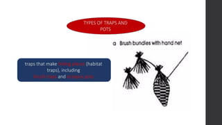 fish-capture- ALL TOPIC TLE 115 (TCCAFA)