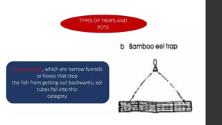 fish-capture- ALL TOPIC TLE 115 (TCCAFA)