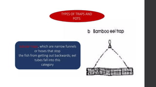 fish-capture- ALL TOPIC TLE 115 (TCCAFA)