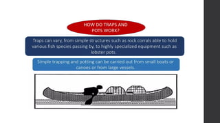 fish-capture- ALL TOPIC TLE 115 (TCCAFA)