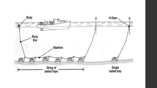 fish-capture- ALL TOPIC TLE 115 (TCCAFA)