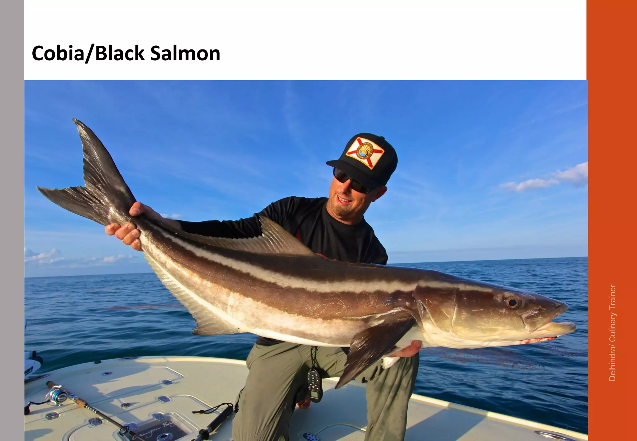 Cobia/Black Salmon
Delhindra/CulinaryTrainer
 