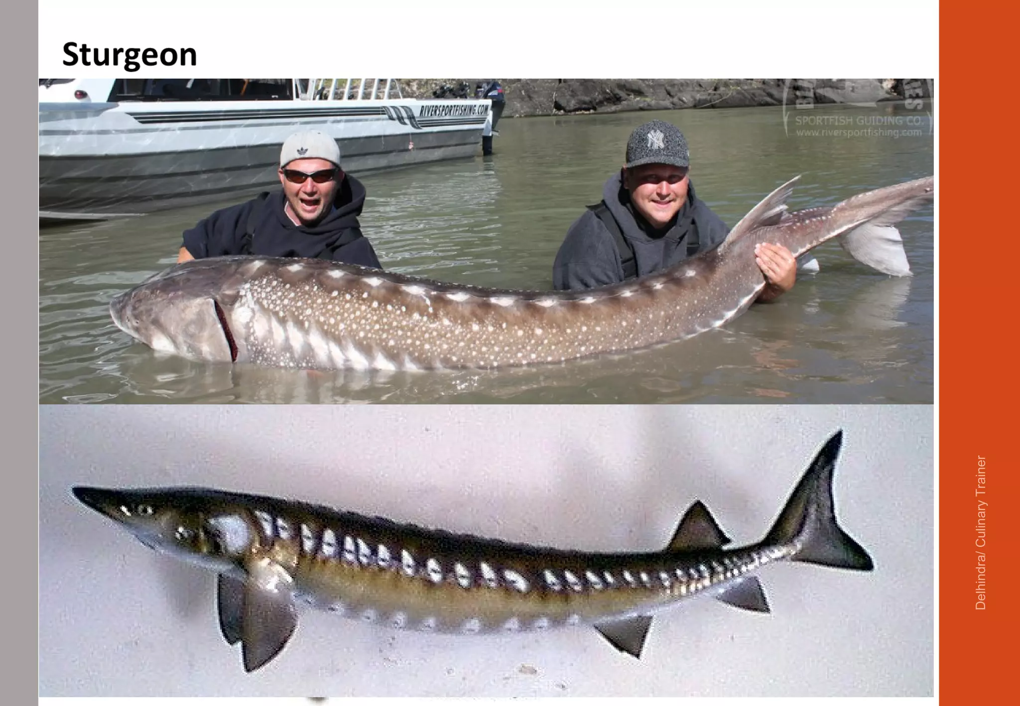 Delhindra/CulinaryTrainer
 