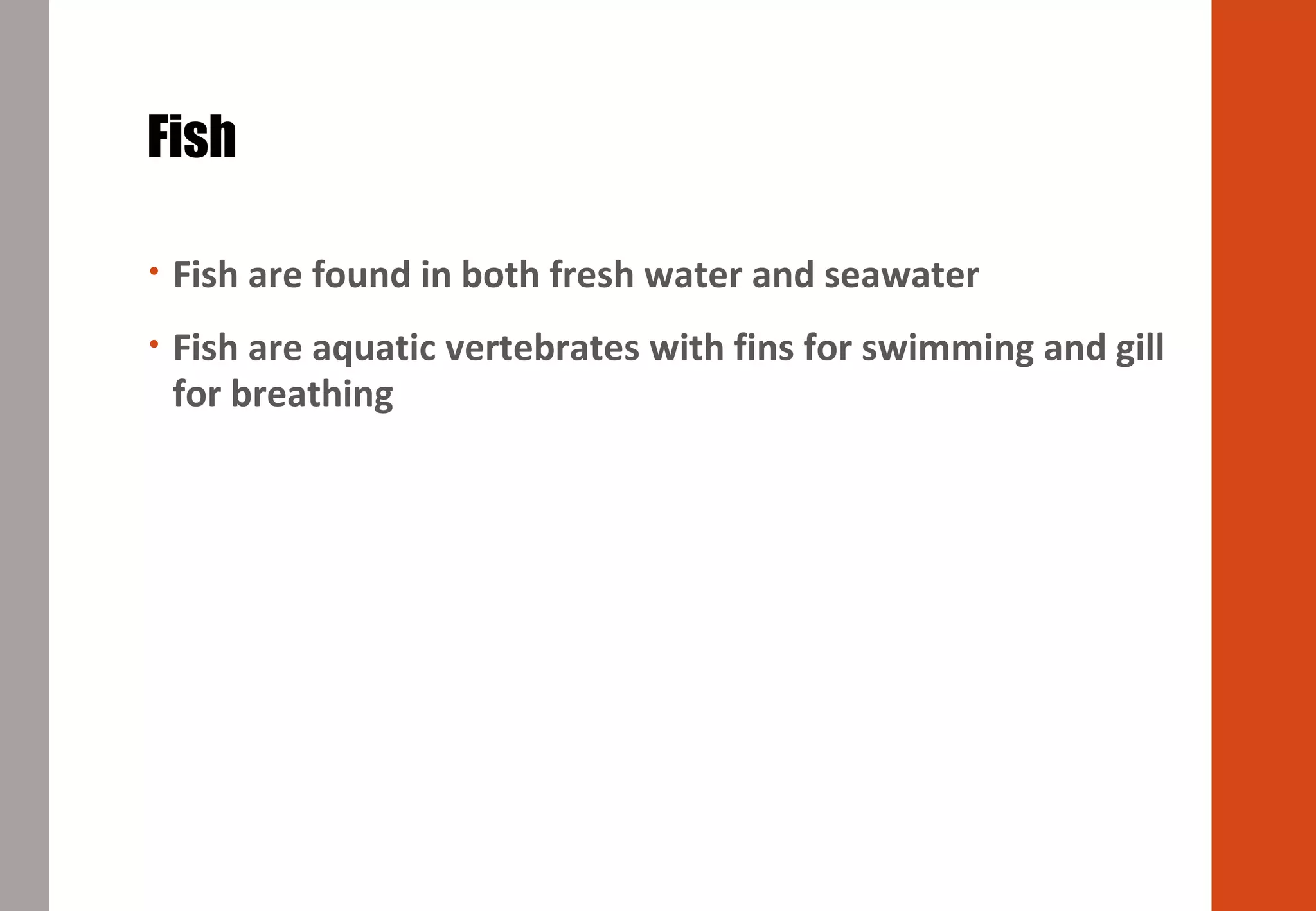 Fish
• Fish are found in both fresh water and seawater
• Fish are aquatic vertebrates with fins for swimming and gill
for breathing
 