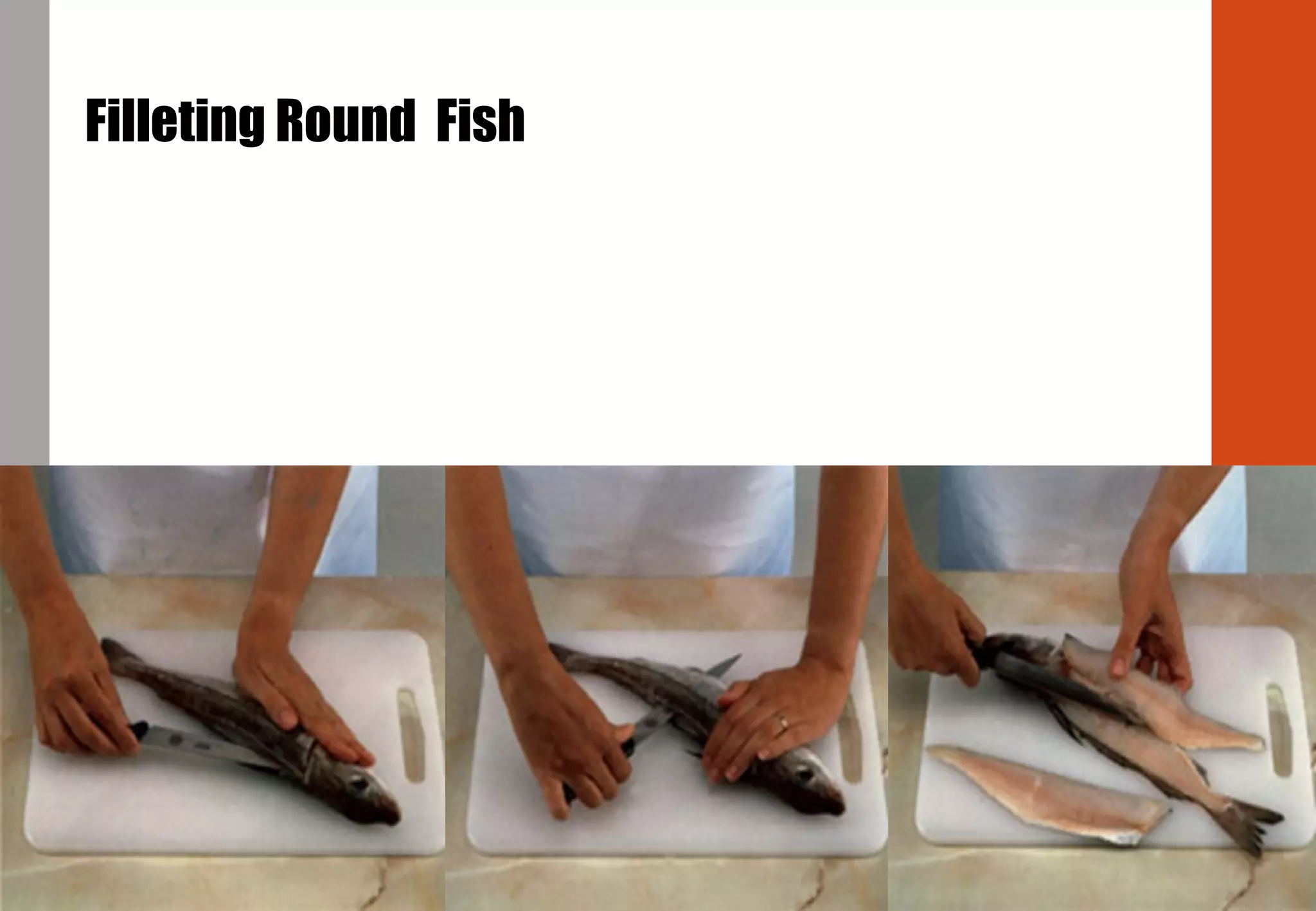 Filleting Round Fish
 