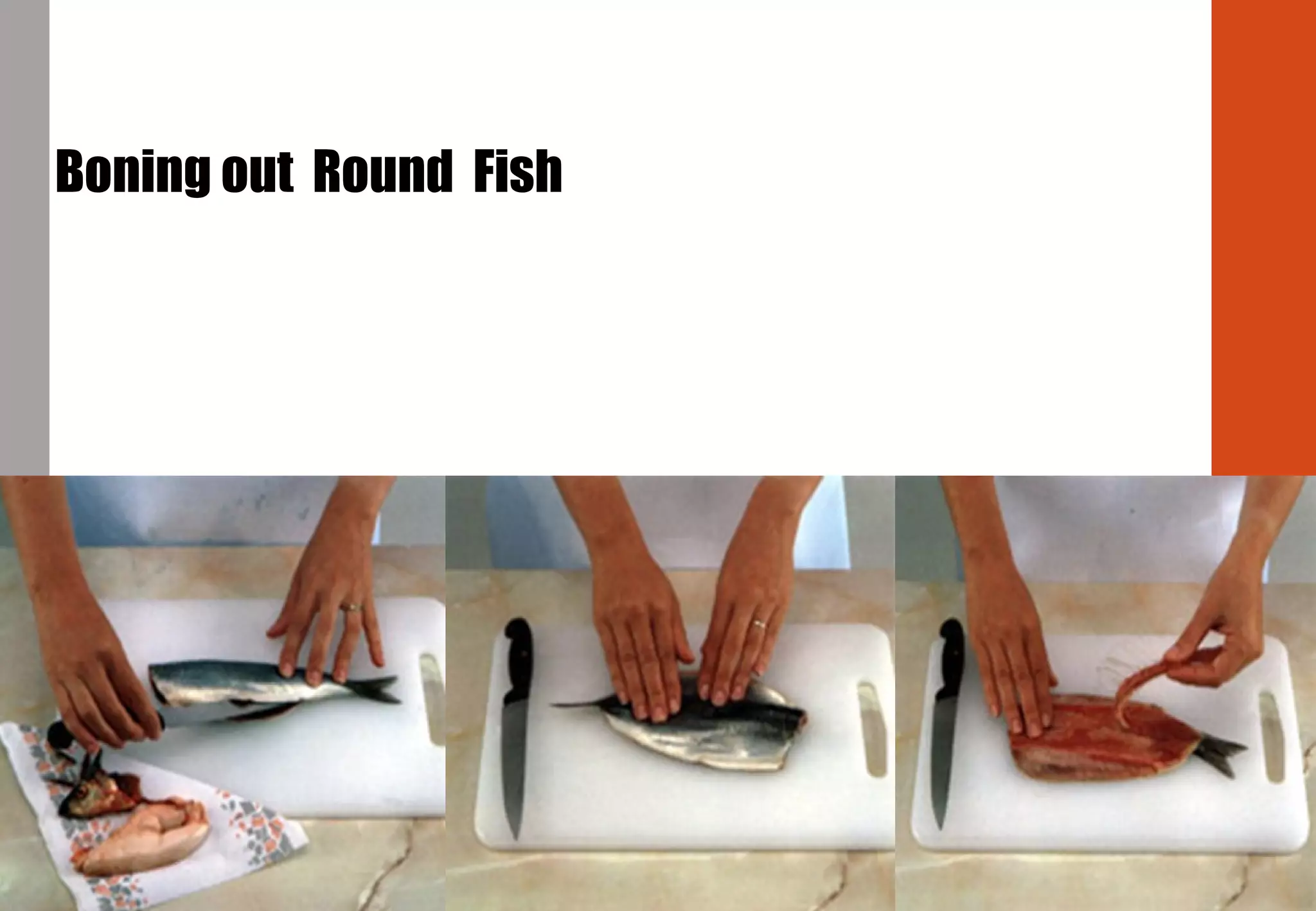 Boning out Round Fish
 