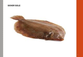 19
LEMON SOLE
DOVER SOLE
 