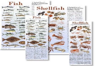 Day 2 - FishDay 2 - Fish
 