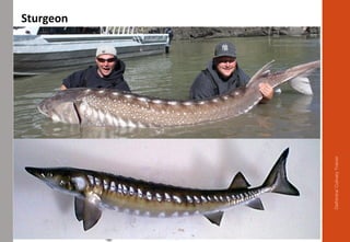 Delhindra/CulinaryTrainer
 