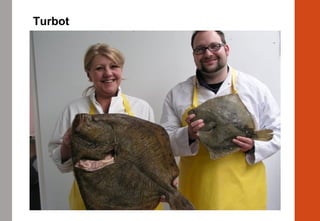 Turbot
 