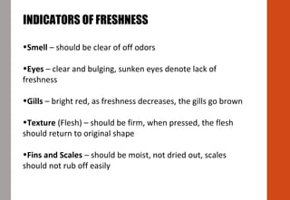 •Smell – should be clear of off odors
•Eyes – clear and bulging, sunken eyes denote lack of
freshness
•Gills – bright red, as freshness decreases, the gills go brown
•Texture (Flesh) – should be firm, when pressed, the flesh
should return to original shape
•Fins and Scales – should be moist, not dried out, scales
should not rub off easily
INDICATORS OF FRESHNESS
 