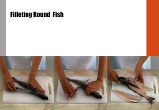 Filleting Round Fish
 