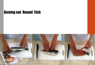 Boning out Round Fish
 