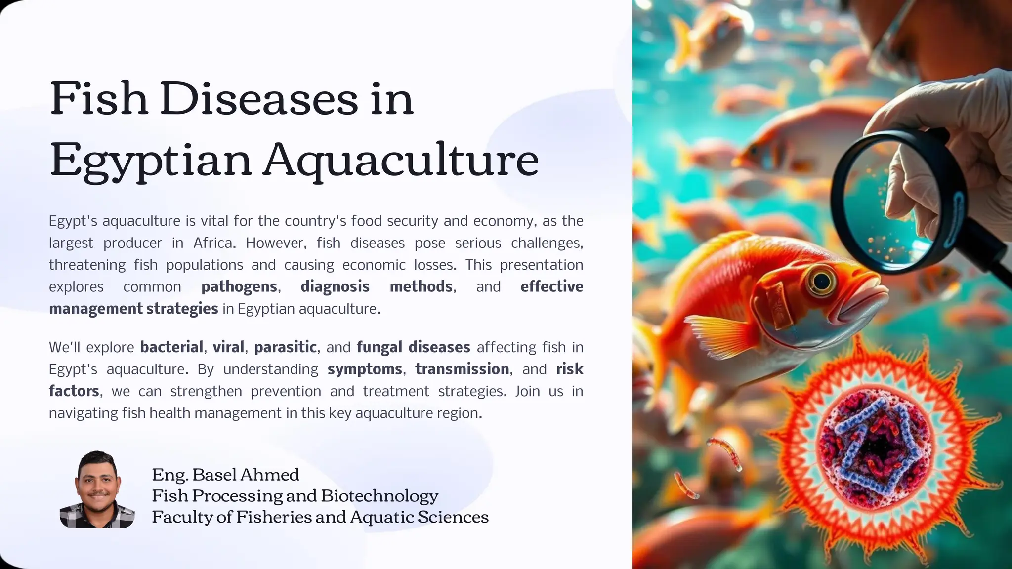 Fish Diseases in Egyptian Aquaculture Eng. Basel Ahmed | PDF