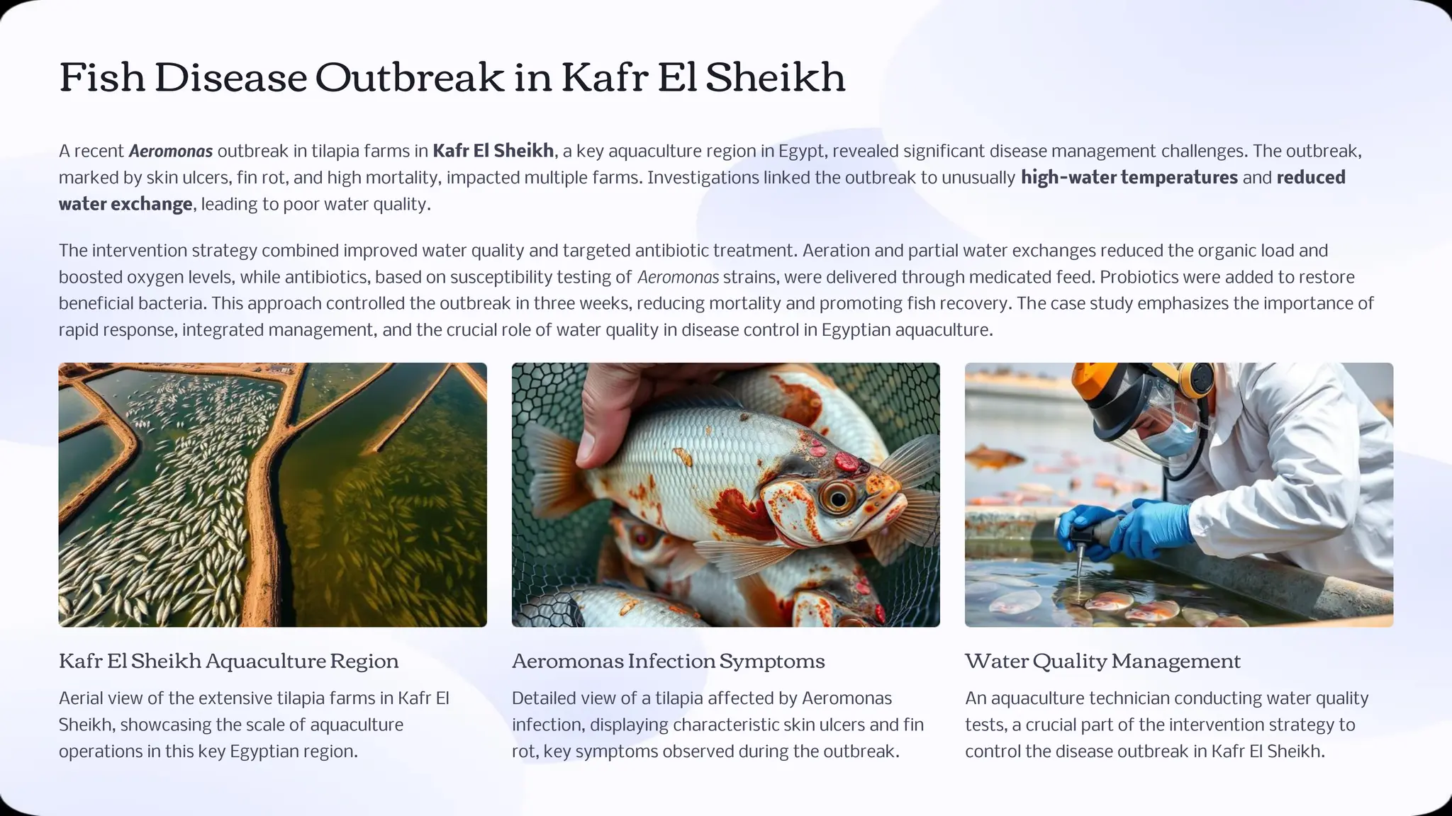 Fish Diseases in Egyptian Aquaculture Eng. Basel Ahmed | PPT