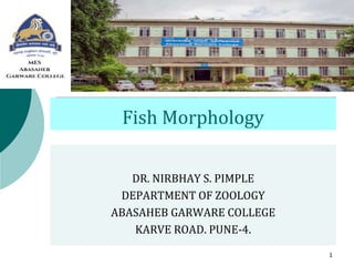 Fish Morphology
DR. NIRBHAY S. PIMPLE
DEPARTMENT OF ZOOLOGY
ABASAHEB GARWARE COLLEGE
KARVE ROAD. PUNE-4.
1
 