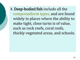 4. Deep-bodied fish include all the
compressiform types, and are found
widely in places where the ability to
make tight, close turns is of value,
such as rock reefs, coral reefs,
thickly vegetated areas, and schools.
28
 