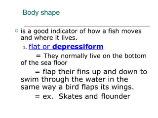 Body shape  is a good indicator of how a fish moves and where it lives.  1.  flat or  depressiform     =  They normally live on the bottom of the sea floor   = flap their fins up and down to swim through the water in the same way a bird flaps its wings.  = ex.  Skates and   flounder 