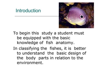 Introduction To begin this  study a student must  be equipped with the basic knowledge of  fish  anatomy. In classifying the  fishes, it is  better  to understand  the  basic design of the  body  parts in relation to the  environment. 