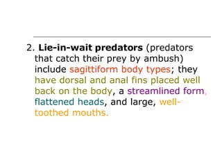 2.  Lie-in-wait predators  (predators that catch their prey by ambush) include  sagittiform body types ; they  have dorsal and anal fins placed well back on the body , a  streamlined form ,   flattened heads , and large,  well-toothed mouths.   