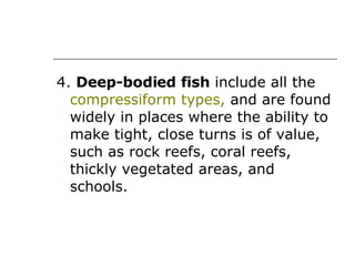 4.  Deep-bodied fish  include all the  compressiform types,  and are found widely in places where the ability to make tight, close turns is of value, such as rock reefs, coral reefs, thickly vegetated areas, and schools.  