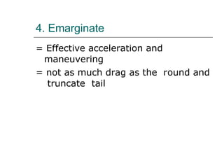 4. Emarginate = Effective acceleration and maneuvering = not as much drag as the  round and  truncate  tail 