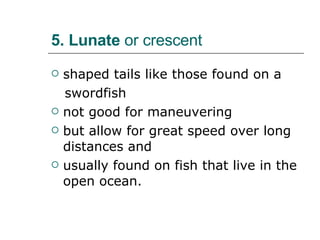 5. Lunate  or crescent shaped tails like those found on a swordfish not good for maneuvering  but allow for great speed over long distances and  usually found on fish that live in the open ocean. 