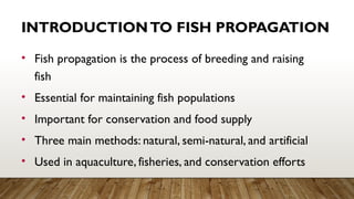Fish-Propagation--Understanding-Natural--Semi-Natural--and-Artificial ...