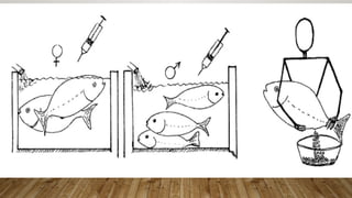 Fish-Propagation--Understanding-Natural--Semi-Natural--and-Artificial ...