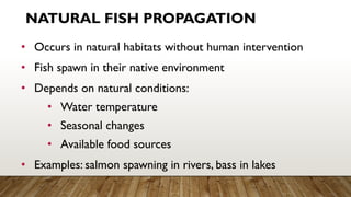 Fish-Propagation--Understanding-Natural--Semi-Natural--and-Artificial ...