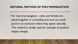 Fish-Propagation--Understanding-Natural--Semi-Natural--and-Artificial ...