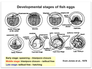 Fish-Reproduction-and-Development prewntation.pdf