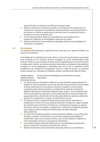 59
CÓDIGO DE PRÁCTICAS PARA EL PESCADO Y LOS PRODUCTOS PESQUEROS (CAC/RCP 52-2003)
agua de lavado si cumple con la deﬁnición de agua limpia.
Debería mantenerse lo más breve posible el intervalo entre la recolección y la
inmersión en agua para la reinstalación, almacenamiento, acondicionamiento o
puriﬁcación Lo mismo se aplica para el intervalo entre la recolección ﬁnal y la
entrega en el centro de distribución.
Si los moluscos bivalvos deben ser sumergidos de nuevo después de la
recolección, deberían ser sumergidos en agua de mar limpia.
Debería mantenerse la documentación apropiada relativa a las actividades de
recolección y transporte.
7.4 Reinstalación
Los requisitos de clasiﬁcación y vigilancia de las zonas de cría se aplican también a las
zonas de reinstalación.
La ﬁnalidad de la reinstalación es la de reducir el nivel de contaminantes que puedan
estar presentes en los moluscos bivalvos recogidos en zonas contaminadas, hasta
alcanzar niveles en que el molusco bivalvo resulte aceptable para el consumo humano
sin elaboración ulterior. Los moluscos bivalvos destinados a reinstalación sólo deberían
recogerse en zonas designadas o clasiﬁcadas para tal ﬁn por el organismo oﬁcial
competente. Los métodos de reinstalación varían en todo el mundo. Los moluscos
bivalvos pueden ser colocados en ﬂotadores, balsas o directamente sobre el fondo.
Posibles peligros: Contaminación microbiológica, por biotoxinas y química
Posibles defectos: Improbables
Orientación técnica:
Las operaciones de reinstalación deberían ser rigurosamente supervisadas por el
organismo oﬁcial competente, para evitar que los moluscos bivalvos contaminados
se lleven directamente al mercado de consumo e impedir la contaminación
cruzada de otros moluscos bivalvos. Los límites de las zonas de reinstalación
deberían identiﬁcarse claramente mediante boyas, postes u otros elementos ﬁjos.
Dichas zonas deberían separarse en forma adecuada de los moluscos bivalvos de
aguas adyacentes y sistemas de control adecuados deberían aplicarse a efectos de
prevenir la contaminación cruzada y la mezcla de los mismos.
El organismo oﬁcial competente determinará el período de retención y la
temperatura mínima en la zona aceptada antes de la recolección, según el grado
de contaminación antes de la reinstalación, la temperatura del agua, la especie
de bivalvo molusco en cuestión y la geografía o condiciones hidrográﬁcas locales
para asegurar que los niveles de contaminación han sido reducidos
adecuadamente.
Los sitios de reinstalación podrían volverse biotóxicos debido a una proliferación
de algas, o podrían transformarse en una fuente inesperada de patógenos
ambientales, tales como la bacteria Vibrio, y por lo tanto deberían vigilarse en
forma apropiada mientras se usan para la reinstalación.
Los moluscos bivalvos deberían disponerse con una densidad que les permita
abrirse y desarrollar el proceso de puriﬁcación natural.
Debería mantenerse la documentación apropiada relativa a la reinstalación.
 