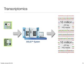Transcriptomics


                            16 million
                              ~40 bp
                             HQ reads




                            16 million
                              ~40 bp
                             HQ reads




Tuesday, January 26, 2010                13
 